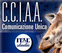 CCIAA Comunicazione Unica