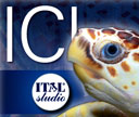 ICI