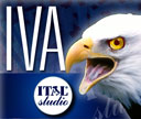IVA